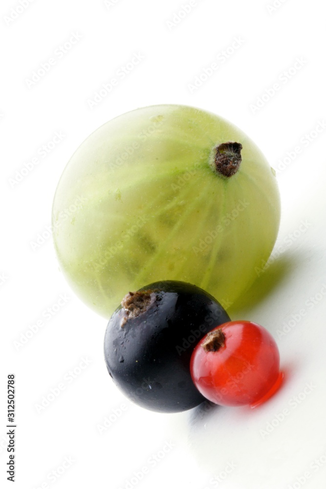 Goosebarry, blackcurrant and redcurrant Goosebarry, blackcurrant and redcurrant