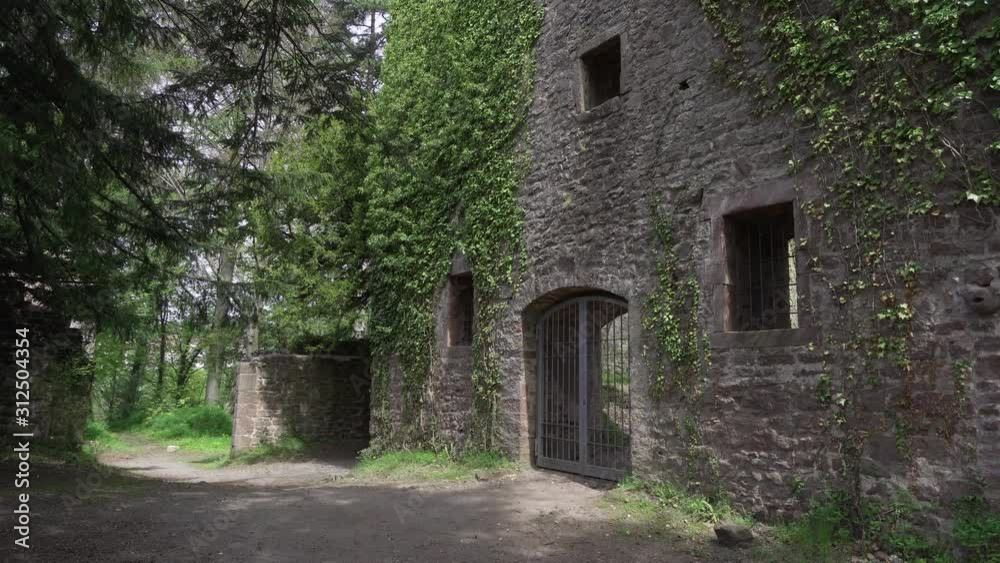 Stone walls of the old castle Schloss Neuenburg in Germany, overgrown with ivy, in spring. Stone walls of the old castle Schloss Neuenburg in Germany, overgrown with ivy, in spring.
