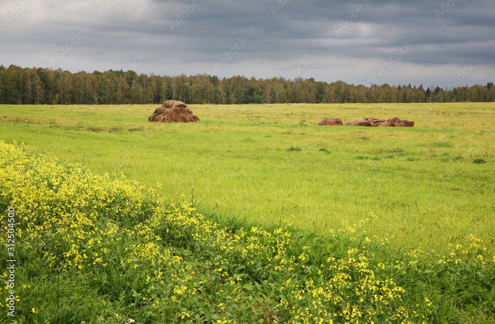 Fototapeta premium Landscape near Nikola-Lenivets village. Kaluga oblast. Russia