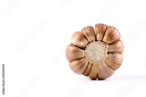 Garlic