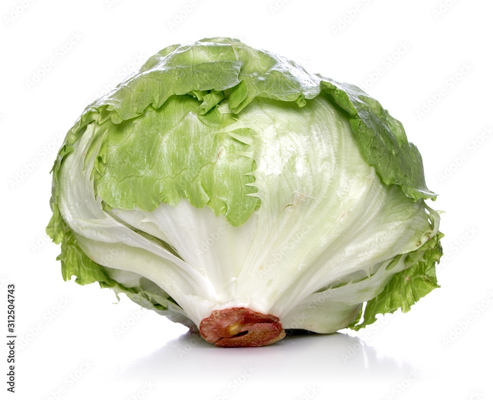 Obraz premium Close-up of cabbage on white background