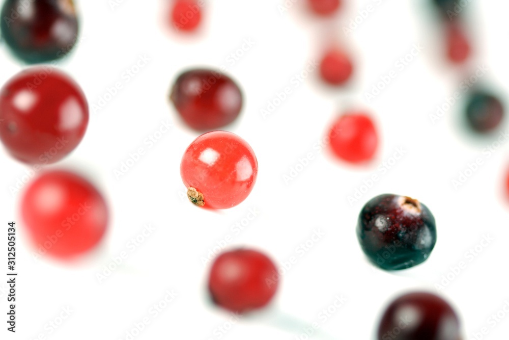 Cranberries Cranberries