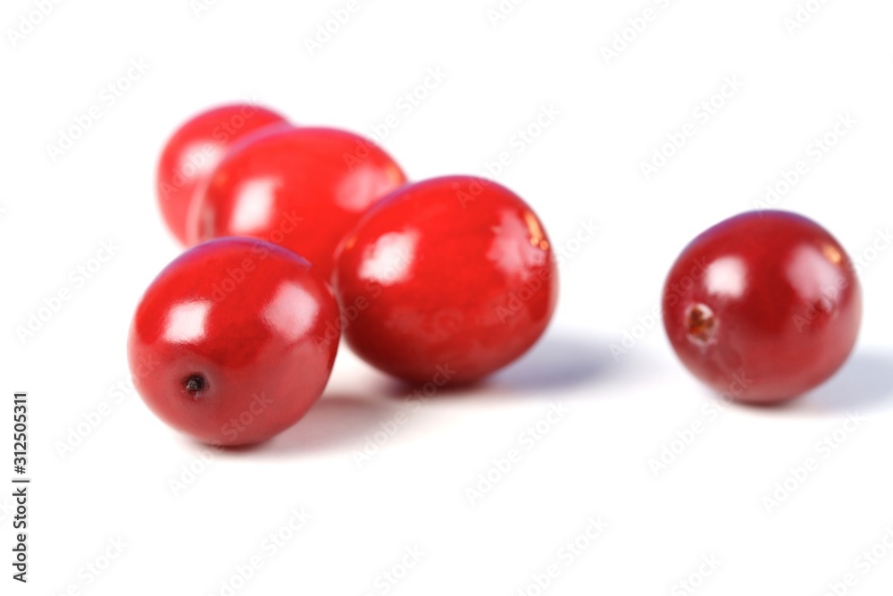 Cranberries Cranberries
