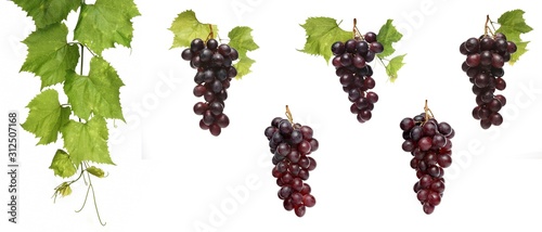 Grapes on white background - close-up