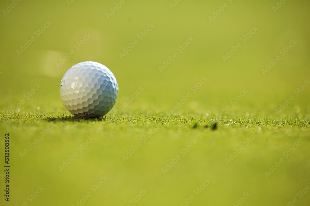 Fototapeta premium Golf ball on grass