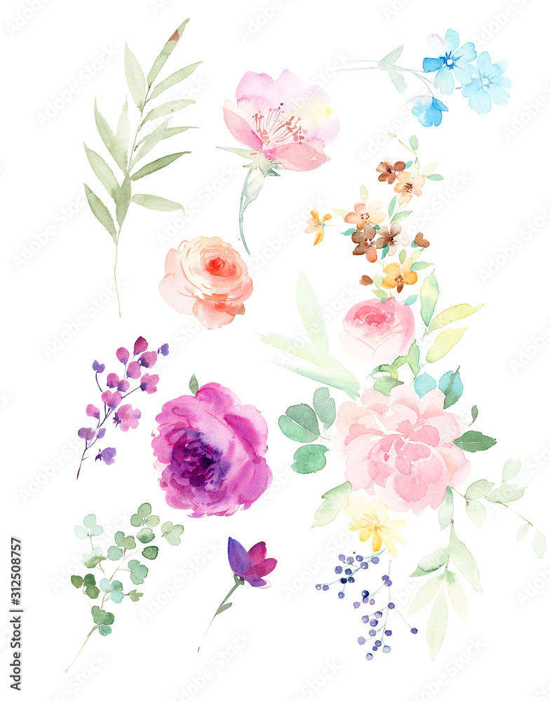  watercolor flower illustration