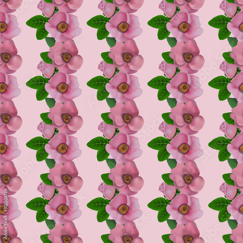 Wild roses, floral seamless pattern. Vector background.