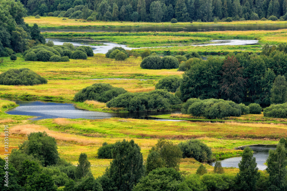 Green forest with river meanders. Typical landscape around Vltava river near Lipno reservoir, Sumava national park in Czech Republic. Summer green landscape, travelling in the Europe.