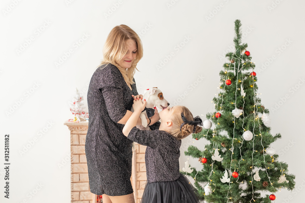 Holidays and pet concept - mother and daughter playing with jack russell terrier dog in front of christmas tree at home Holidays and pet concept - mother and daughter playing with jack russell terrier dog in front of christmas tree at home