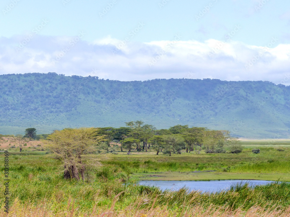 Landscape inside the Ngorongoro Conservation Area National Park Tanzania Africa
