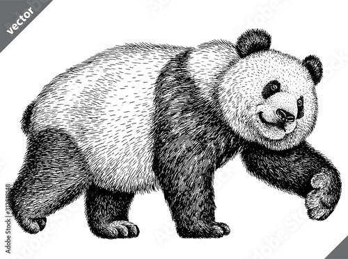 black and white engrave isolated panda vector illustration