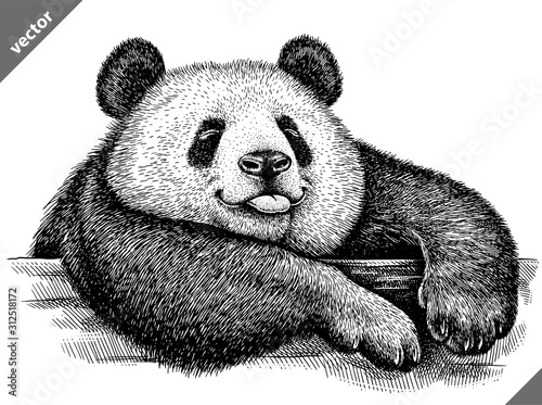 black and white engrave isolated panda vector illustration