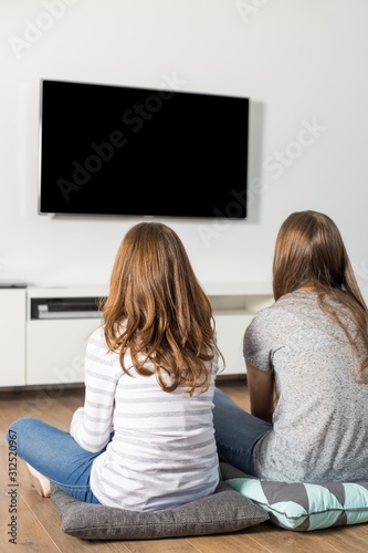 Rear view of sisters watching TV at home