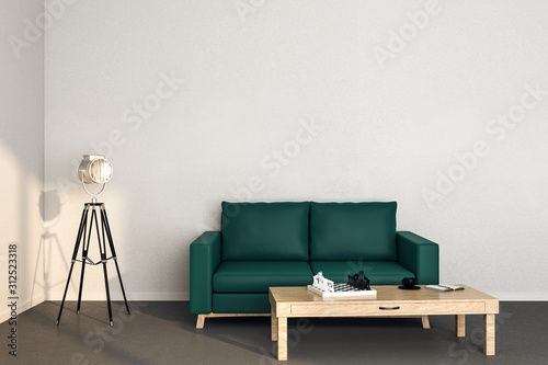 Modern living room interior with leather sofa