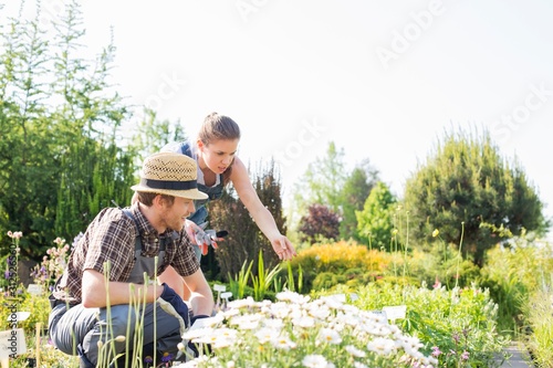 Gardeners working at plant nursery