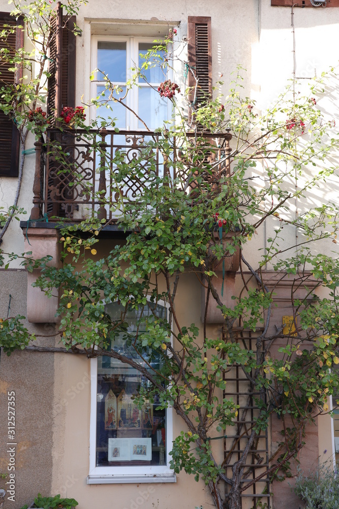 Balkon,Rosen, Fasade Balkon,Rosen, Fasade