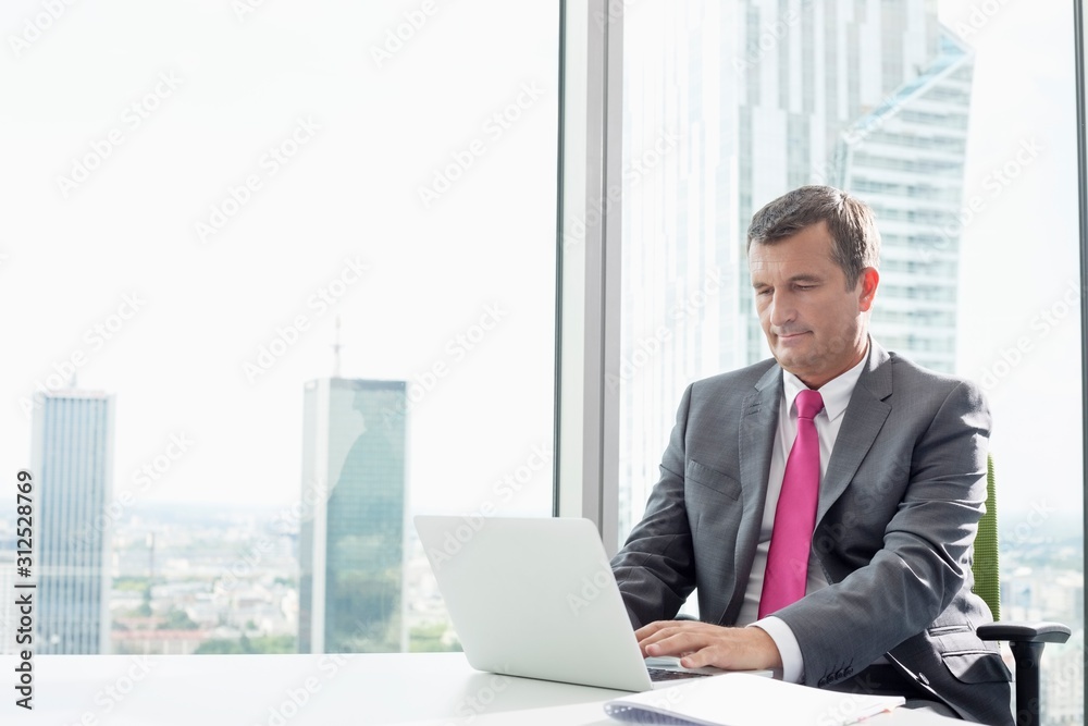 Mature businessman using laptop in office