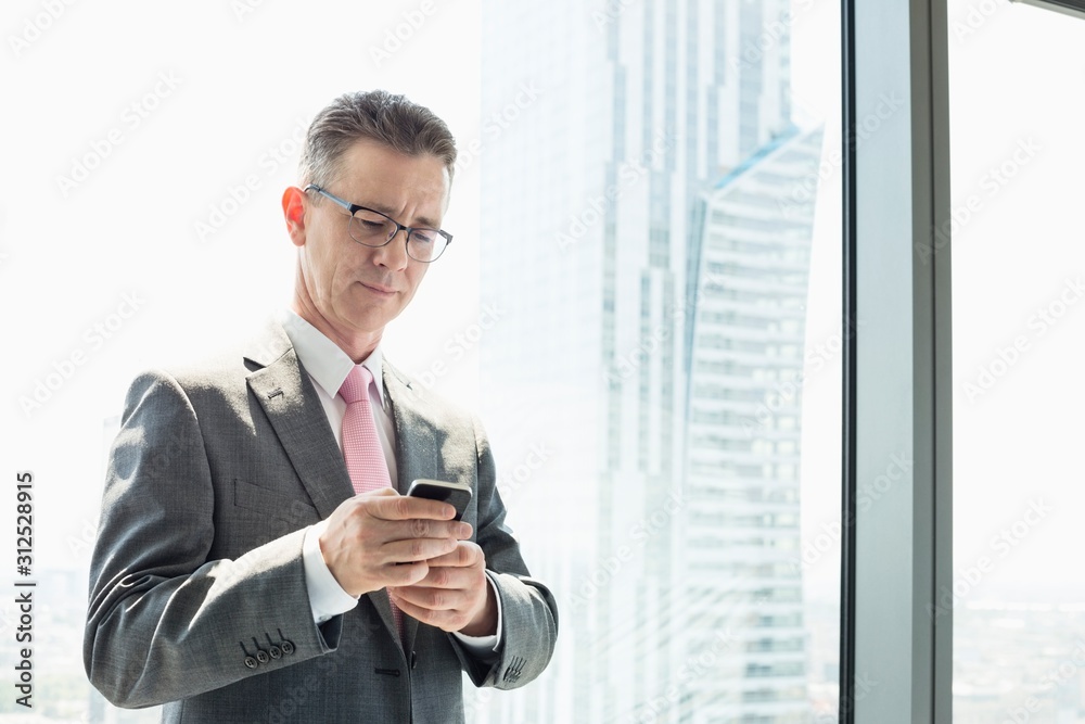 Mature businessman using cell phone by window Mature businessman using cell phone by window