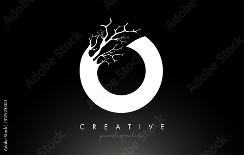 Letter O Design Logo with Creative Tree Branch. O Letter Tree Icon Logo
