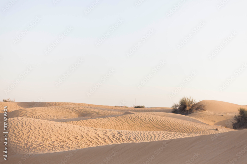 Desert sable Duabi