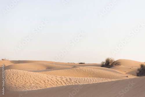 Desert sable Duabi