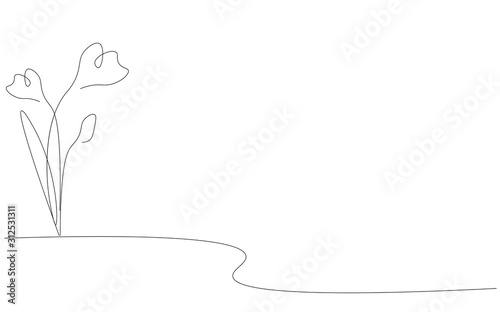 Wallpaper Mural Spring flower on white background. Vector illustration Torontodigital.ca