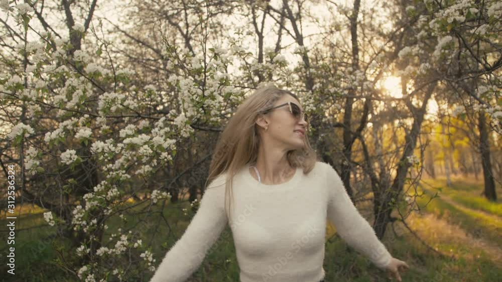Attractive young woman in sweater, jeans is dance and spinning among blossom apple tree. Sunset, spring orchard and green field. Slow motion. Caucasian one girl, long fluttering hair. Sun glasses. Attractive young woman in sweater, jeans is dance and spinning among blossom apple tree. Sunset, spring orchard and green field. Slow motion. Caucasian one girl, long fluttering hair. Sun glasses.