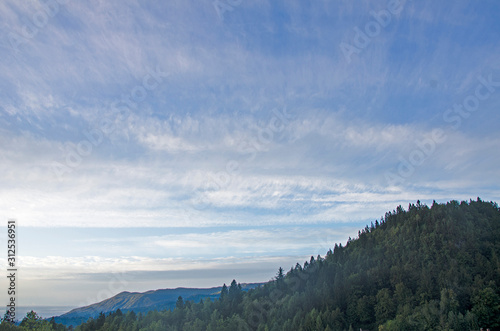 Forested hill and sky in Israel