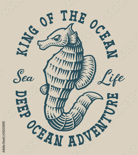 Vintage nautical emblem with a seahorse photo