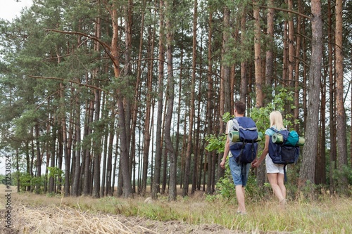 Full length rear view of young backpackers holding hands in woods