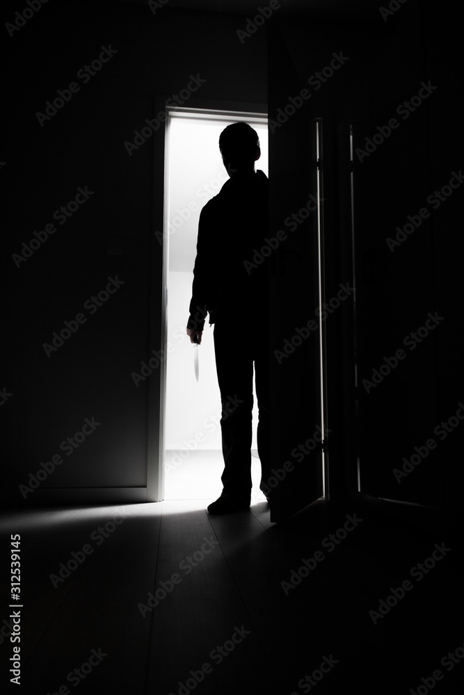 Obraz premium Full-length of burglar entering into house