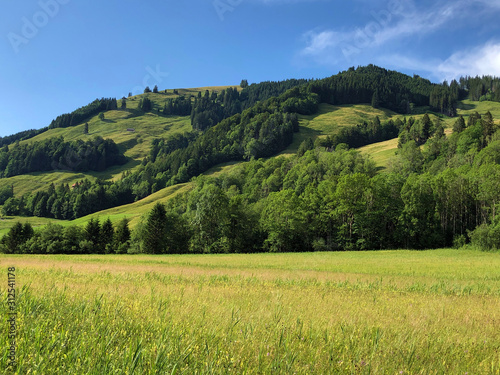 Alpine hill Stockrain above the Sihltal valley and artifical Lake Sihlsee, Studen - Canton of Schwyz, Switzerland photo