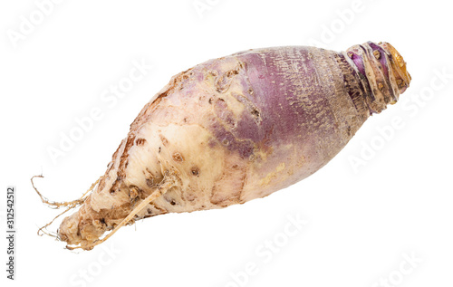 fresh rutabaga root isolated on white photo