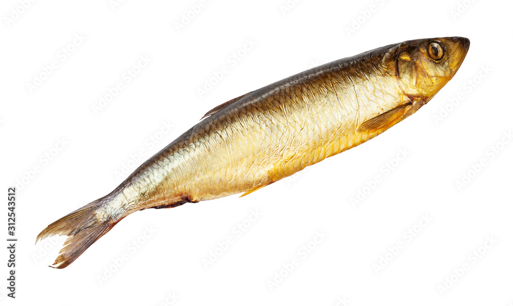 cold-smoked atlantic herring isolated on white cold-smoked atlantic herring isolated on white