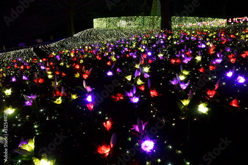 Japanese Illumination Photo in kanagawa