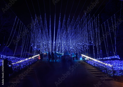 Japanese Illumination Photo in kanagawa