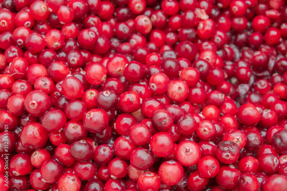 Ripe Red cranberries collected in the forest lies in the container Ripe Red cranberries collected in the forest lies in the container