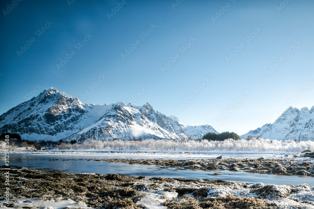 Ice trees on the  river in Lofoten