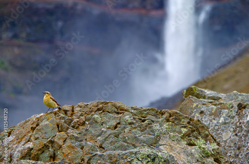 Impressive and breathtaking view onto Iceland´s fourth tallest or highest waterfall cascade Hengifoss with beautiful natural landscape and scenery and visible Paleosol photo