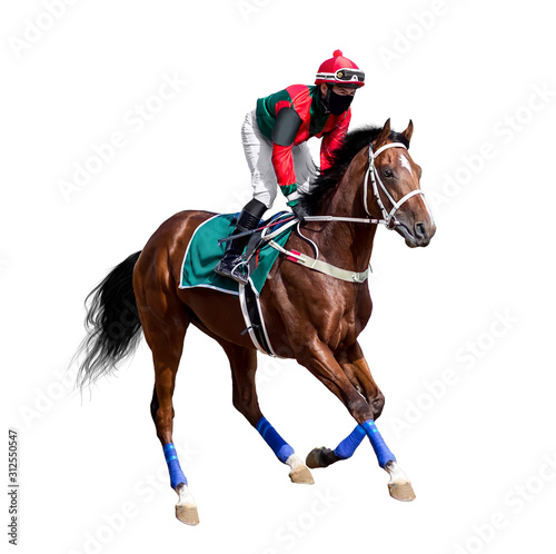 horse racing jockey isolated on white background