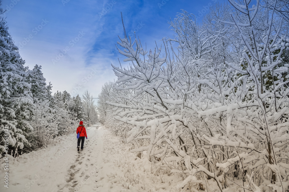Walking in a beautiful snowy path