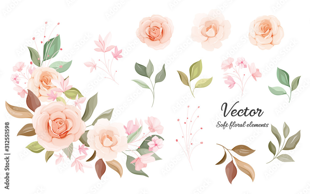 Flowers vector collection. Soft color floral decoration illustration of peach and white rose flowers, leaves, branches. Romantic botanic elements for wedding, greeting, valentine card design