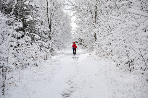 Girl walking in winter  photo
