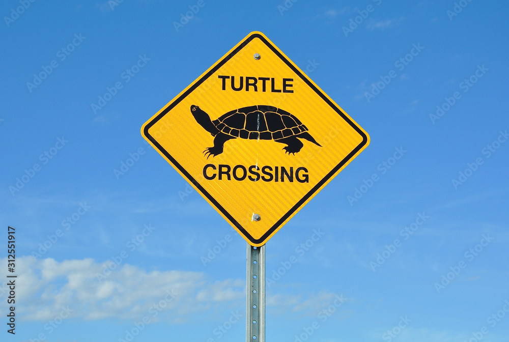 Turtle crossing road sign