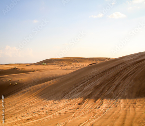 Blick in eine W  stenlandschaft in der Abendsonne