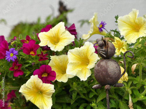 colorful flowers with cat decoration