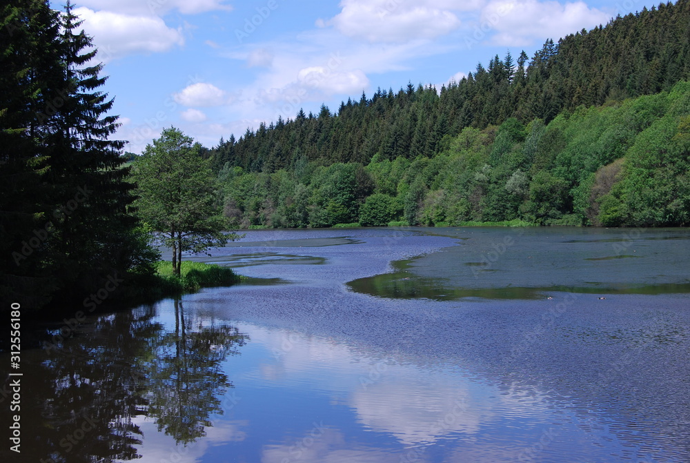 Fototapeta premium Natur See
