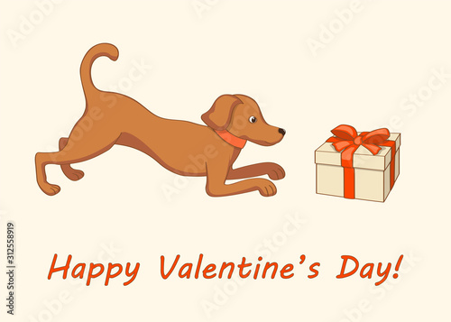 dog near valentine gift box