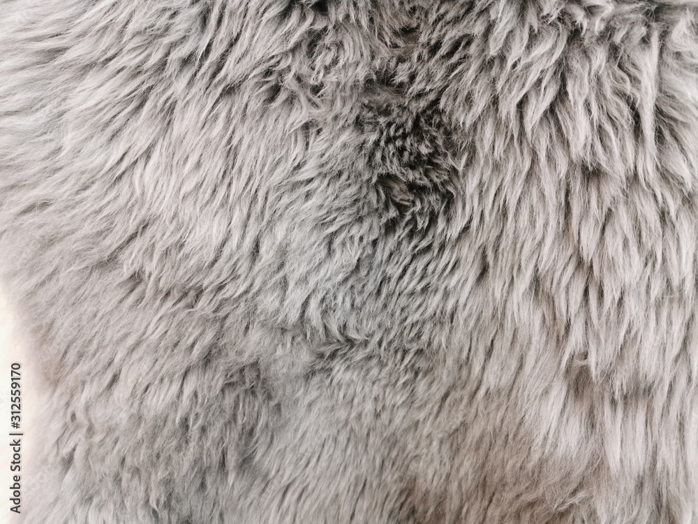 Obraz Futrzany dywan, powierzchnia owczej skóry. Szare futro z długim NAP. Poczucie ciepła i miękkości.