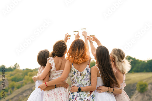 Shoot from back. The company of gorgeous  female friends having fun, cheers and drink wine, and enjoy hills landscape picnic.